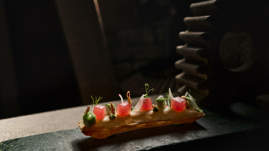 Grissini - Thunfisch - Avocadowasabi | © SENNS.Restaurant