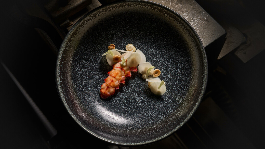 Langostino - Karfiol - Haselnuss | © SENNS.Restaurant