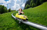 Sommerrodelbahn | © Zinkenlifte Bad Dürrnberg gemeinnützige GesmbH