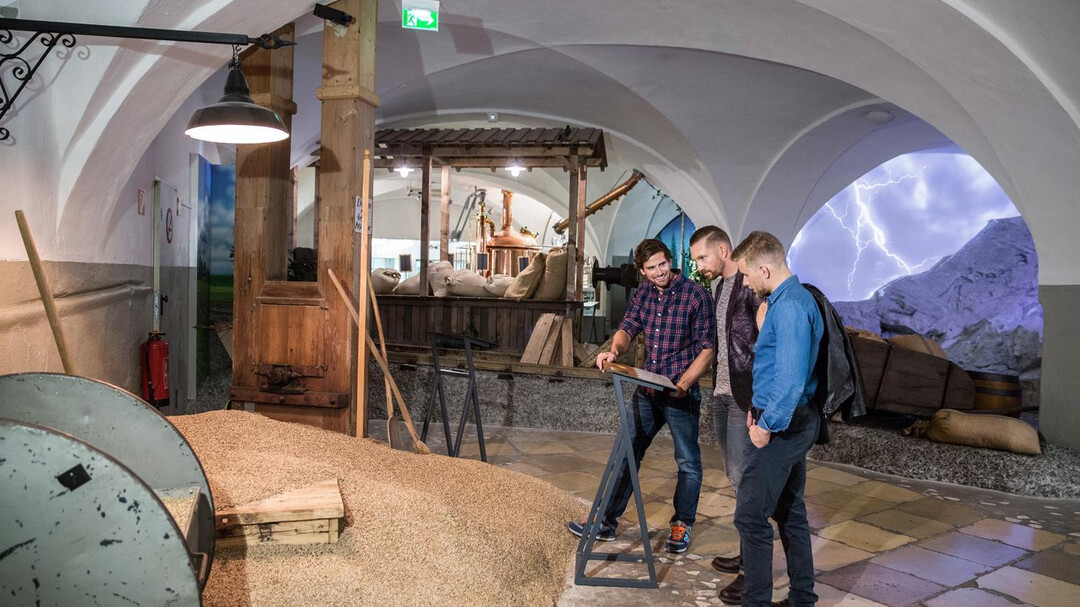 malt | © Stiegl Brauwelt