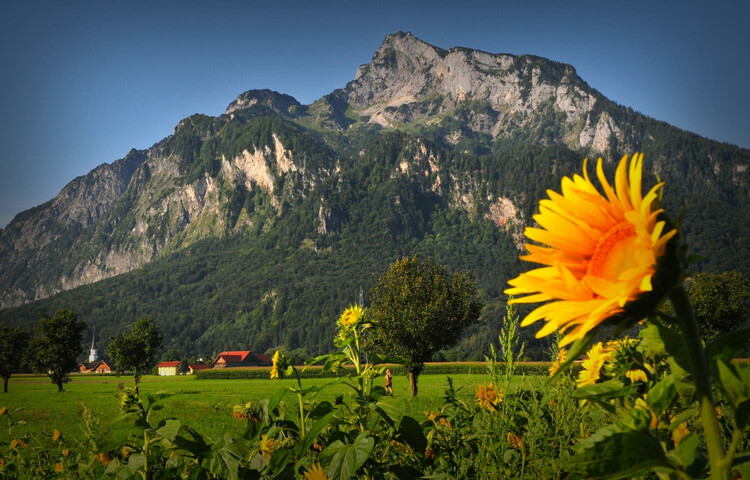Untersberg im Herbst | © TVB Grödig