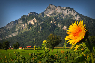 Untersberg im Herbst | © TVB Grödig