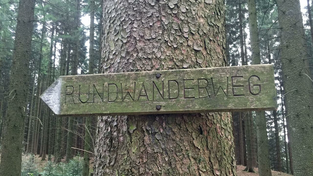 Rundwanderweg am Gaisberg | © Tourismus Salzburg