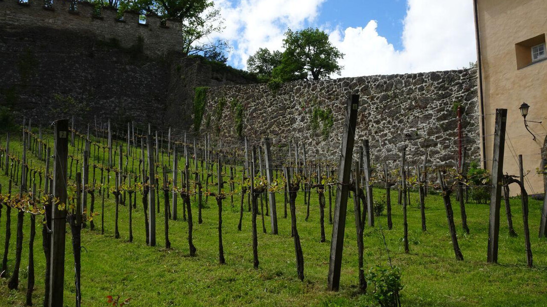 Paris-Lodron-Zwinger | © Josef Pohn