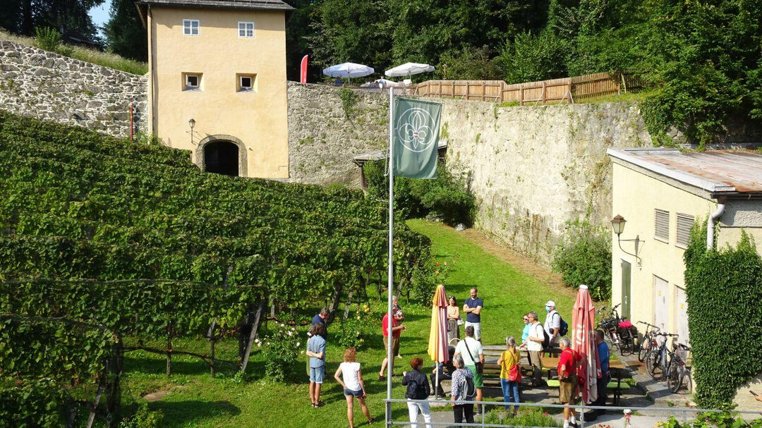 Weingartenführung | © Josef Pohn