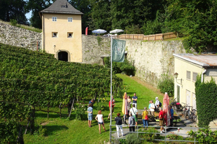 Weingartenführung | © Josef Pohn