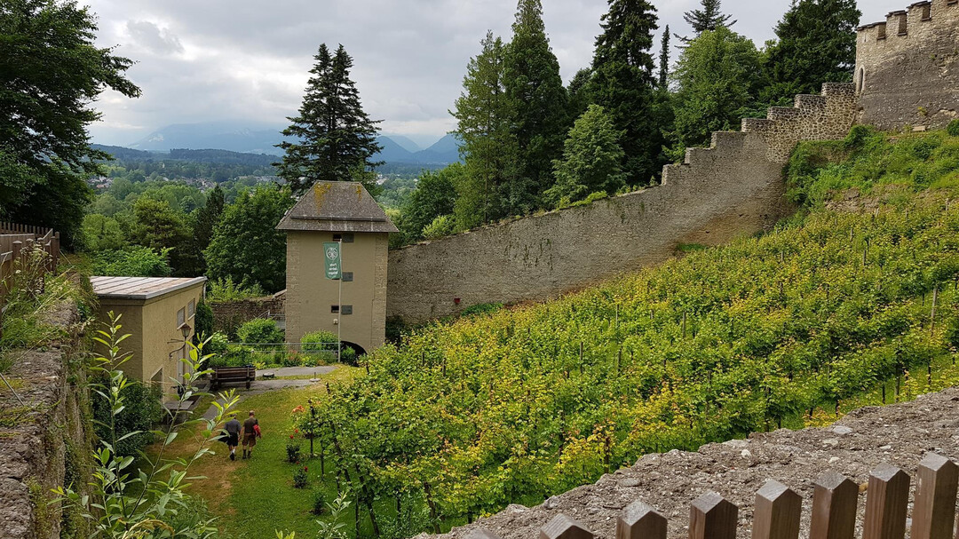 Weingarten | © R. Büger-Liebl