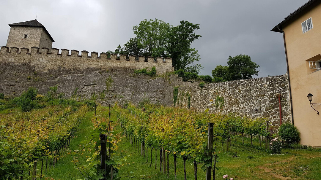 Weingarten 4 | © R. Büger-Liebl