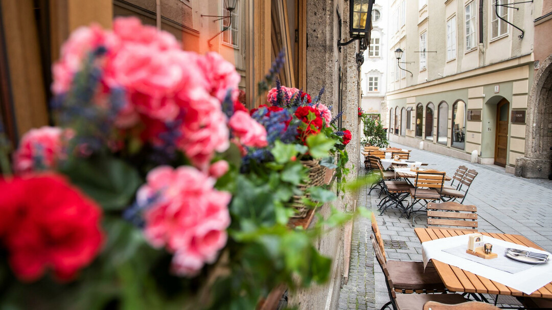 Schanigarten | © Wirtshaus Elefant