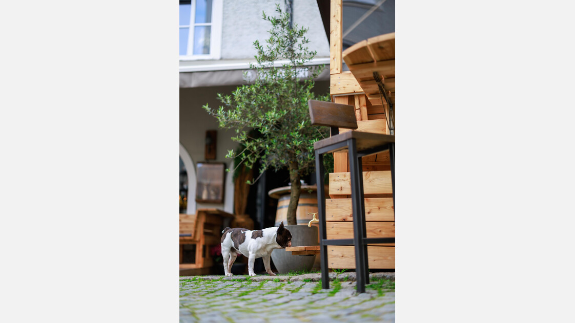 Hundetränke | © Zum Zirkelwirt
