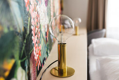 Blumenzimmer-weisseTaube_kathringollacknerfotograf