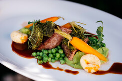 Essen 2 arthotel Blaue Gans Ingo Pertramer (8)