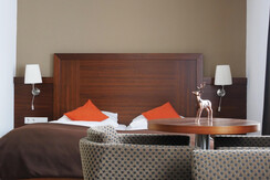 Room Pictures_Room_DZS_25