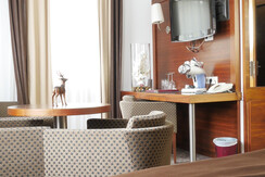 Room Pictures_Room_DZS_27