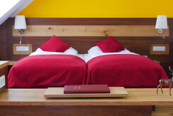 Room Pictures_Room_DZS_33