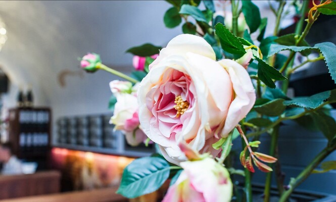 Rezeption | © Boutiquehotel am Dom