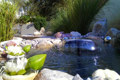 Gästehaus Waldeck Detailansicht Aussen