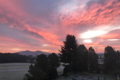 Ausblick aus Esszimmer und Küche