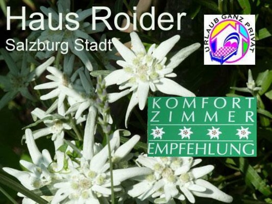 Logo | © Haus Roider