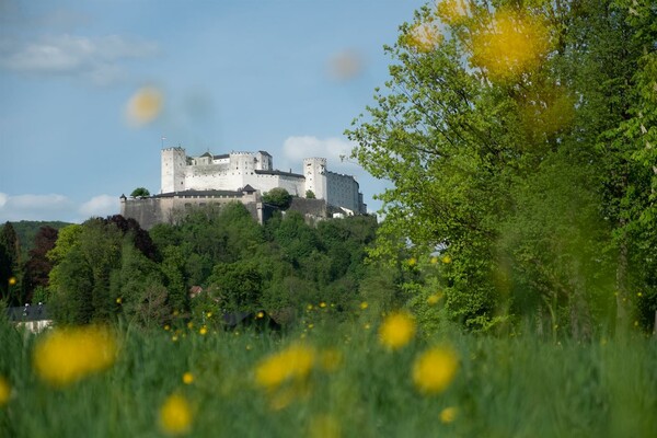 Ausblick aus der Umgebung