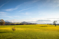 20241114_SchoenbergbauerInnen_018-Verbessert-RR_kl