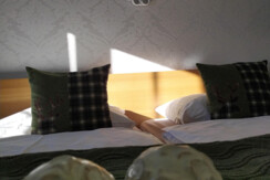 IMG_20220112_114508 (1)