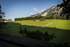 Windhagerbauer Blick vom Wald