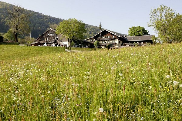 zistelalm-sommer-wiese | © Hotel Zistelalm